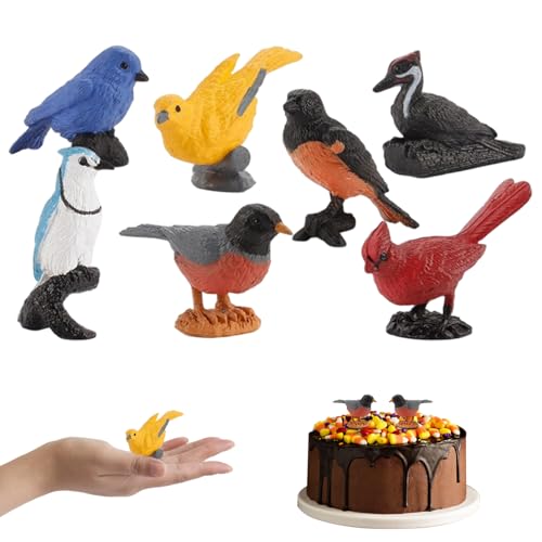 Latebebebe Vogelfiguren, 7pcs Plastik Mini Vogelfigur, Bildung Oriole Robin Cardinal Toys für Kinder, Kuchen -Topper und Dekoration Spielzeug für Kinder Latebebebe Vogelfiguren, 7pcs Plastik Mini Vogelfigur, Bildung Oriole Robin Cardinal Toys für Kinder, Kuchen -Topper und Dekoration Spielzeug für Kinder von Latebebebe