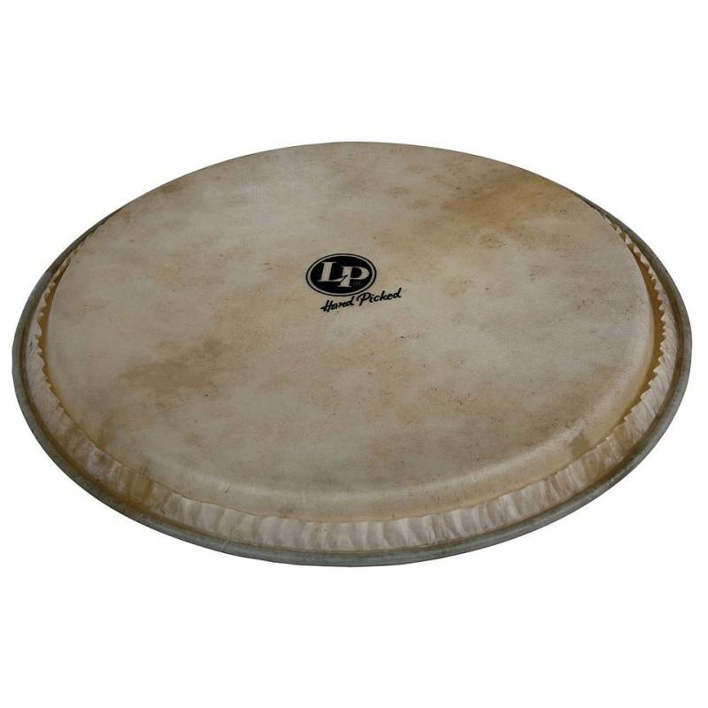 Latin Percussion 12,5" Djembe Head Percussion-Fell von Latin Percussion