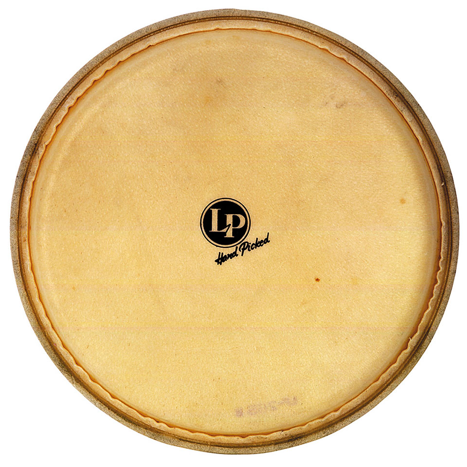 Latin Percussion Galaxy LP274A Conga Head 11" Percussion-Fell von Latin Percussion