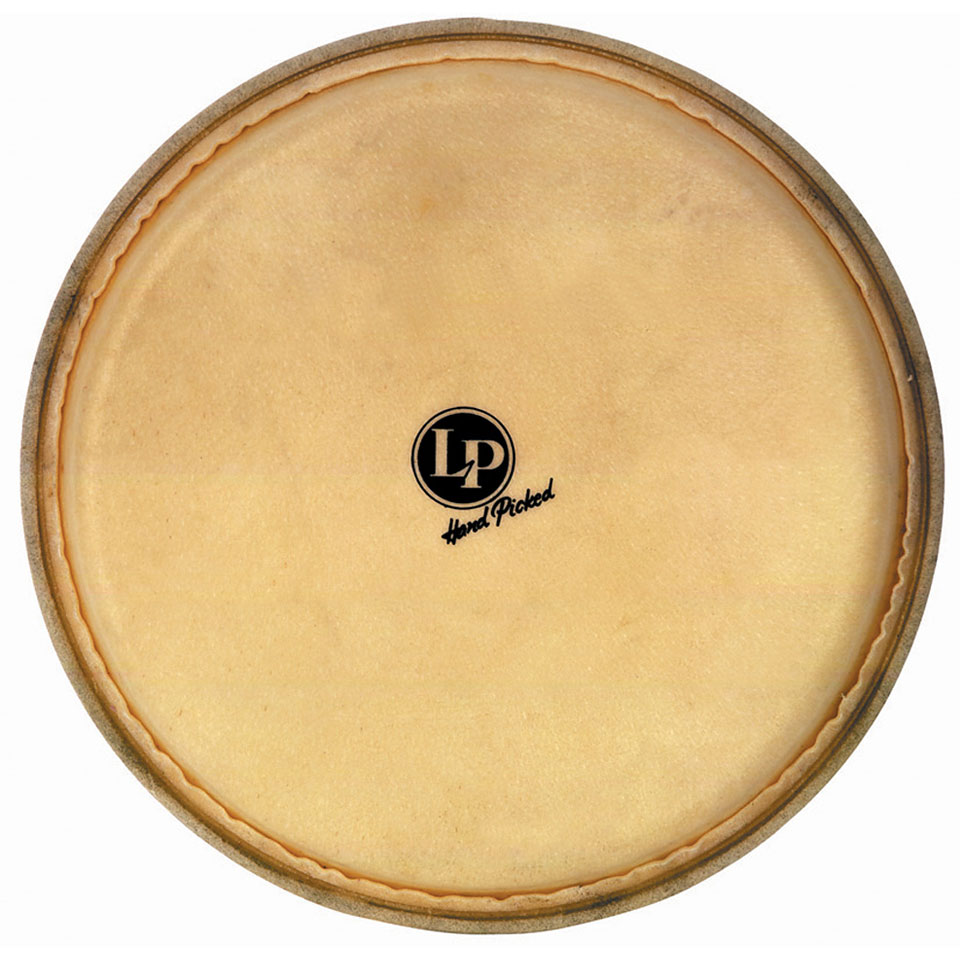 Latin Percussion LP265C Percussion-Fell von Latin Percussion