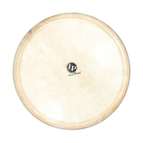 Latin Percussion Galaxy 14" Djembe Head Percussion-Fell von Latin Percussion