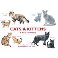 Cats & Kittens von Laurence King Pub