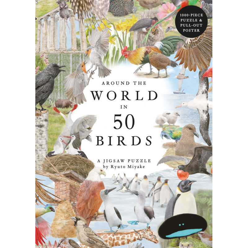 Around the World in 50 Birds von Laurence King Verlag GmbH
