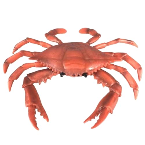 Lawnrden Crawling Crab Baby Spielzeug, Krabbenspielzeug, realistisches Plastik -Krabben -Dekor, Lernspielzeug für Kinder 3+, Desktop -Dekoration Lawnrden Crawling Crab Baby Spielzeug, Krabbenspielzeug, realistisches Plastik -Krabben -Dekor, Lernspielzeug für Kinder 3+, Desktop -Dekoration von Lawnrden