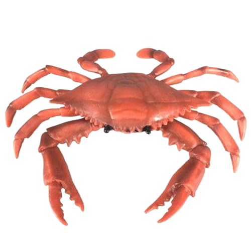 Lawnrden Plastikrot - realistisch gefälschte Krabbendekoration, Meereskreaturenmodell, Badspielzeug für Festival, Ocean Animal Figurine, Partydekorationen, Küchendekor, Lebensmittelmarktausstellung Lawnrden Plastikrot - realistisch gefälschte Krabbendekoration, Meereskreaturenmodell, Badspielzeug für Festival, Ocean Animal Figurine, Partydekorationen, Küchendekor, Lebensmittelmarktausstellung von Lawnrden