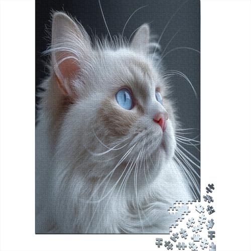 Süße blauäugige Katze Puzzle 1000 Teile Erwachsener Kniffel Spaß Für Die Ganze Familie - Abwechslungsreiche 1000 Puzzleteilige Motive Puzzlespiel Erwachsene, Puzzel 1000pcs (75x50cm) von LeHuaiMa