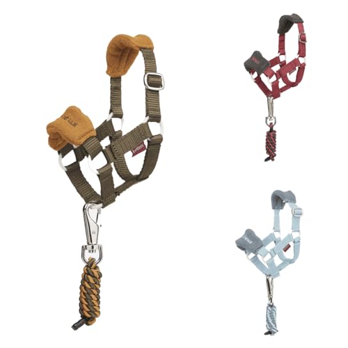 LeMieux Toy Pony Vogue Halfter & Führstrick – ab 3 Jahren – Fleece-gepolstertes Nasenriemen – verstellbarer Riemen – maschinenwaschbar – Alpine – Einheitsgröße LeMieux Toy Pony Vogue Halfter & Führstrick – ab 3 Jahren – Fleece-gepolstertes Nasenriemen – verstellbarer Riemen – maschinenwaschbar – Alpine – Einheitsgröße von LeMieux