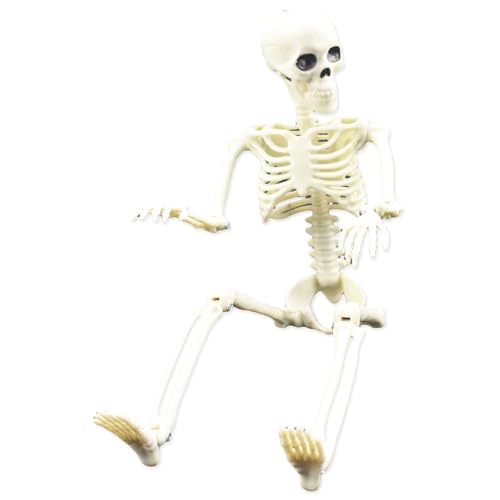 Actionfigur des Skeletts – bewegliches Spielzeug des menschlichen Knochenmodells | Totenkopfskelett 40,6 cm (16 Zoll) für Haloween-Zubehör, gruselige Partydekoration, Spukhaus von LearnLyrics