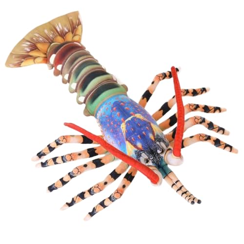LearnLyrics Plüsch Hummergefüllte Tiere - Hummerplüschspielzeug, Rote Meer Kreatur Doll | Gemütlicher Spielzimmer Begleiter Umarmt Puppe, Entzückende Animal Für Kinder Schlafzimmer Wohnzimmer LearnLyrics Plüsch Hummergefüllte Tiere - Hummerplüschspielzeug, Rote Meer Kreatur Doll | Gemütlicher Spielzimmer Begleiter Umarmt Puppe, Entzückende Animal Für Kinder Schlafzimmer Wohnzimmer von LearnLyrics