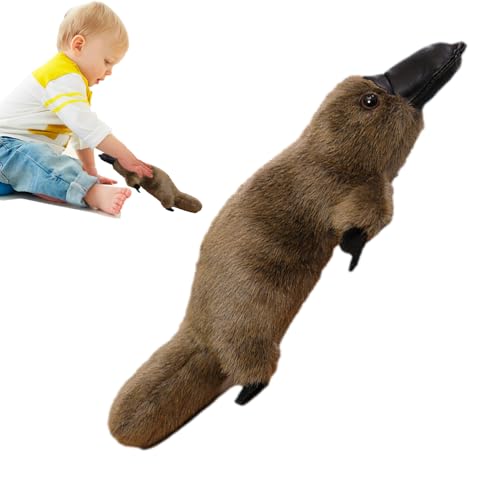 Plüschtier aus Ente, Schnabeltier aus Plüsch – Schnabeltier – Plüschpuppe Plüschtier – Kissen in Tierform aus Plüsch, Cartoon-Spielzeug Plüschtier aus Ente, Schnabeltier aus Plüsch – Schnabeltier – Plüschpuppe Plüschtier – Kissen in Tierform aus Plüsch, Cartoon-Spielzeug von LearnLyrics