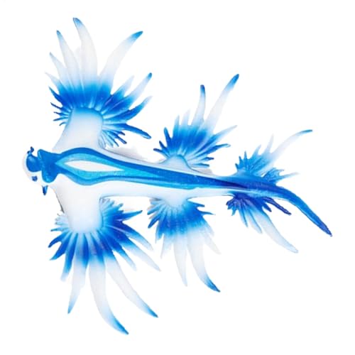 Meeresschneckenfigur, Oktopus-Figuren, Meeresschnecken-Figur | Realistische Meerestierfigur - Meerestier-Skulptur, Dekoration Für Zuhause, Simulation Eines Oktopus-Modells, Meeresschneckenfigur Meeresschneckenfigur, Oktopus-Figuren, Meeresschnecken-Figur | Realistische Meerestierfigur - Meerestier-Skulptur, Dekoration Für Zuhause, Simulation Eines Oktopus-Modells, Meeresschneckenfigur von LearnLyrics