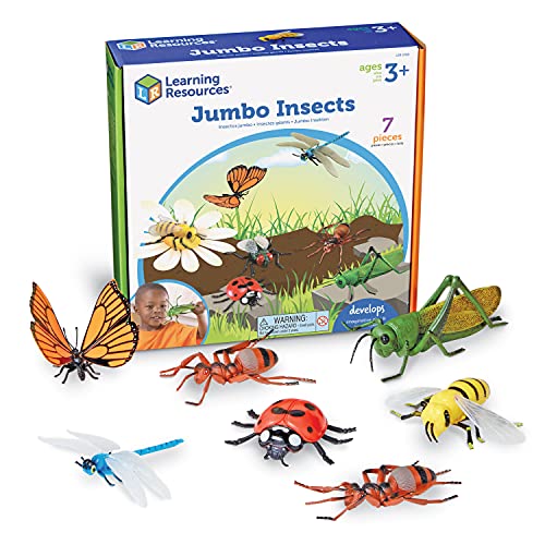Learning Resources Große Insekten von Learning Resources