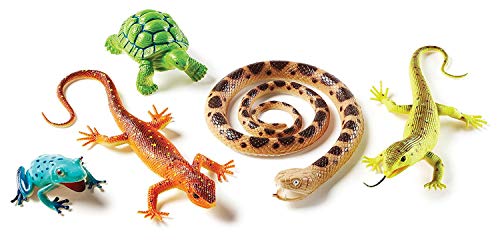 Learning Resources Große Reptilien u. Amphibien von Learning Resources
