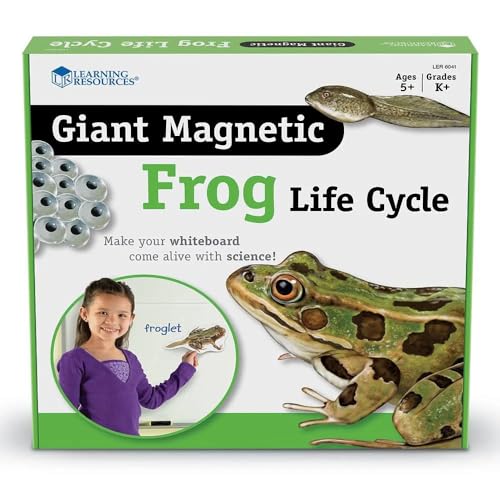 Learning Resources Riesiger Magnetischer Lebenszyklus eines Frosches von Learning Resources