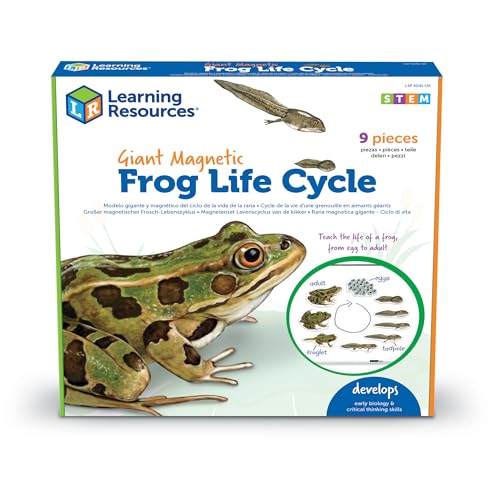 Learning Resources Riesiger Magnetischer Lebenszyklus eines Frosches von Learning Resources