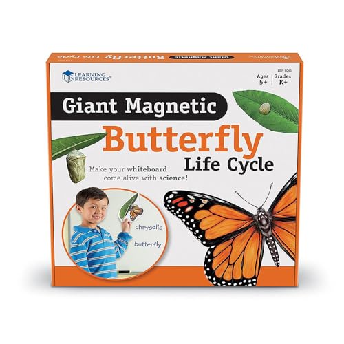 Learning Resources LER6043 Riesiger magnetischer Lebenszyklus eines Schmetterlings, von Learning Resources