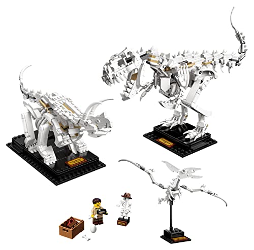 LEGO Ideas 21320 - Dinosaurierfossilien von LEGO