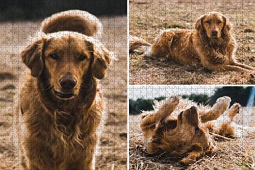Foto Puzzle Personalisiert 1000 500 300 120 Teile für Erwachsene Jungen Mädchen Holzpuzzle,Puzzle mit eigenem Foto gestalten,ideal als persönliches Fotogeschenk Foto Puzzle Personalisiert 1000 500 300 120 Teile für Erwachsene Jungen Mädchen Holzpuzzle,Puzzle mit eigenem Foto gestalten,ideal als persönliches Fotogeschenk von Lehaha