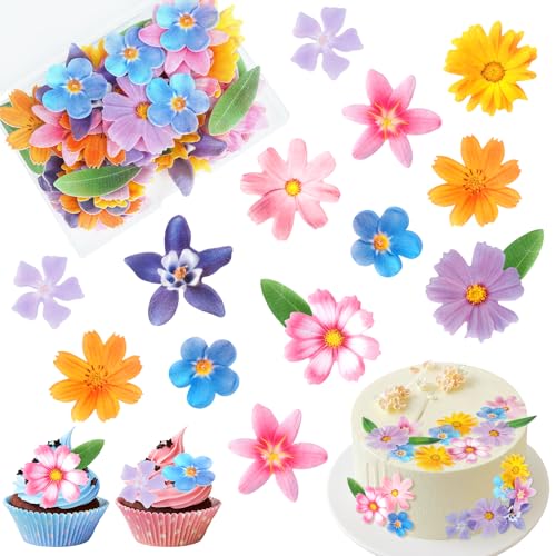 60 Stück Tortendeko Blumen Essbar Blätter Cupcake Deko,Essbare Blumen für Torte,Essbare Blüten Cupcake Topper,Esspapier Blüten Kuchen für Hochzeit Geburtstag Babyparty Dekorationen 60 Stück Tortendeko Blumen Essbar Blätter Cupcake Deko,Essbare Blumen für Torte,Essbare Blüten Cupcake Topper,Esspapier Blüten Kuchen für Hochzeit Geburtstag Babyparty Dekorationen von Leikedun