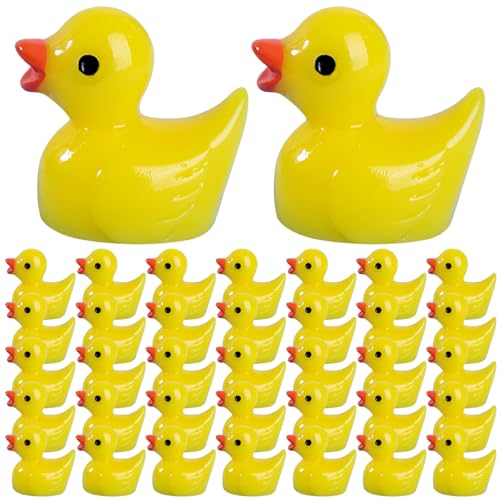 Lejelyma Mini Ducks, 200pcs wasserdichte winzige Enten, 0, 7 x 0, 6 Zoll Mini Harztiere für Home Dollhouse Garden Landschaft Stopfpflanzen DIY -Handwerk Lejelyma Mini Ducks, 200pcs wasserdichte winzige Enten, 0, 7 x 0, 6 Zoll Mini Harztiere für Home Dollhouse Garden Landschaft Stopfpflanzen DIY -Handwerk von Lejelyma