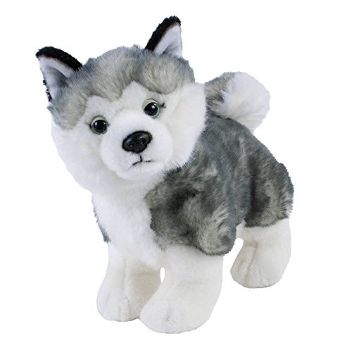Kuscheltier Hund Husky klein stehend, 25 cm, Plüschhusky, Stofftier, Plüschtier Kuscheltier Hund Husky klein stehend, 25 cm, Plüschhusky, Stofftier, Plüschtier von Leosco