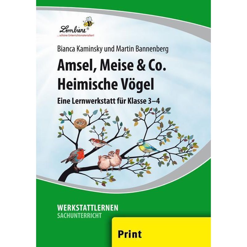 Amsel, Meise & Co: Heimische Vögel von Lernbiene Verlag