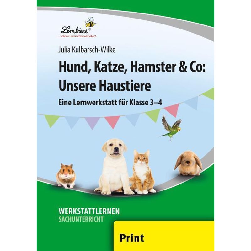 Hund, Katze, Hamster & Co: Unsere Haustiere von Lernbiene Verlag