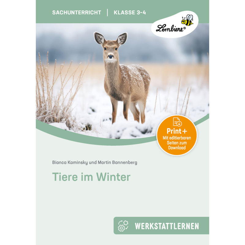 Tiere im Winter, m. 1 Beilage von Lernbiene Verlag