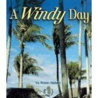 A Windy Day von Lerner Publishing Group