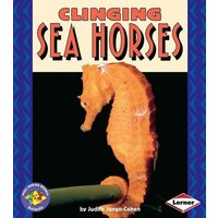 Clinging Sea Horses von Lerner Publishing Group
