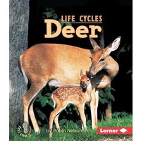Deer von Lerner Publishing Group