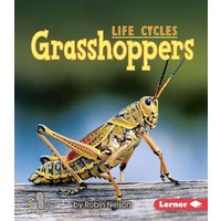 Grasshoppers von Lerner Publishing Group
