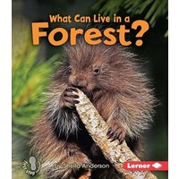 What Can Live in a Forest? von Lerner Publishing Group