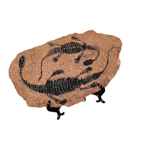 Lerpwige Harze Dinosaurier Fossilien Statue Modell Simuliertes Dinosaurier Skeletton Home Office Desktop Display Dekorative Ornament von Lerpwige