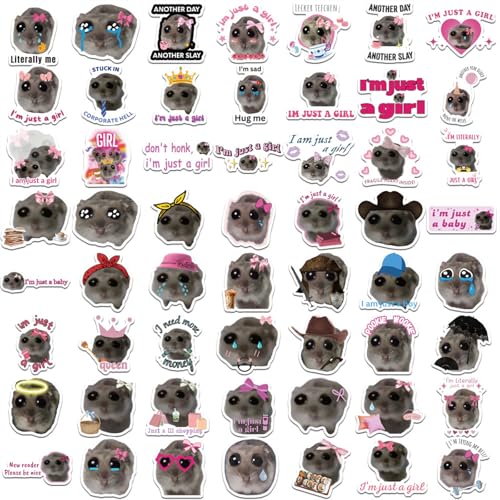 Lerpwige Memes Aufkleber Pack Von 56 Stickers Scrapbook Stationery Decal Für Teenager Skateboardaufkleber Laptop Tablet von Lerpwige