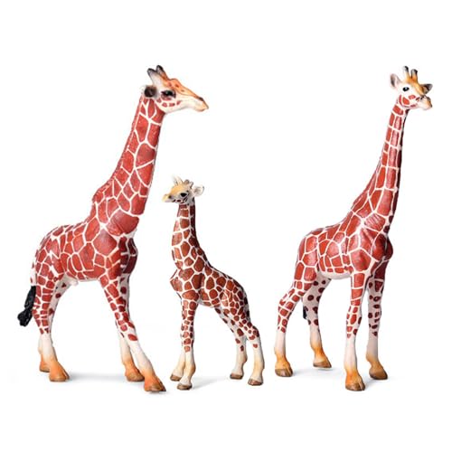 Lerpwige Realistisches Giraffe Tiermodell Für Wissenschaftsausstellungen Und Klassenzimmer Wildlife Tiermodell Für Ausstellung Und Sammlung Lerpwige Realistisches Giraffe Tiermodell Für Wissenschaftsausstellungen Und Klassenzimmer Wildlife Tiermodell Für Ausstellung Und Sammlung von Lerpwige