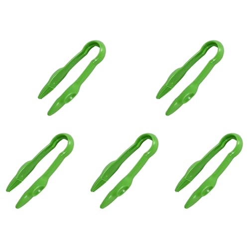 Lerpwige Set Von 5 Hell Gefärbten Verschiedenen Clips Die Die Entwicklung Von Fähigkeiten Unterstützen Und Sicheres Greifen Nach Kleinen Händen Helle Farbplastik Clips Lerpwige Set Von 5 Hell Gefärbten Verschiedenen Clips Die Die Entwicklung Von Fähigkeiten Unterstützen Und Sicheres Greifen Nach Kleinen Händen Helle Farbplastik Clips von Lerpwige