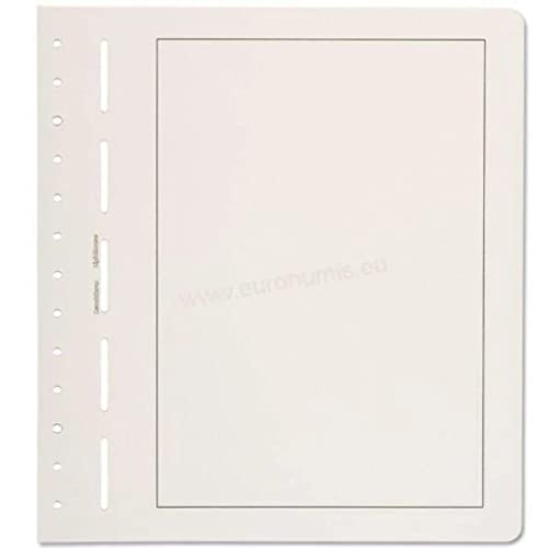 Leuchtturm 334112 Blankoblätter - Neutrale Albenblätter mit schwarzer Randlinie für Sammelalben - 50er Pack von Leuchtturm