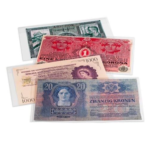 Leuchtturm Banknoten Schutzhülle 210 x 227 mm | Hüllen zum sicheren Aufbewahren von Sammlungen von Leuchtturm