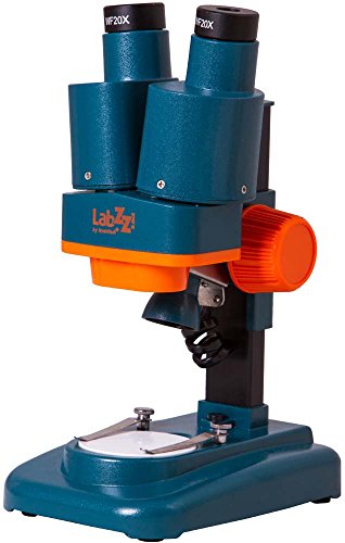 Levenhuk LabZZ M4 Kinder-Stereomikroskop zum Beobachten von Münzen, Steinen, Insekten, Pflanzen und Anderen Objekten von Levenhuk