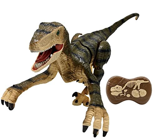 Lexibook, RC Raptor Control, realistischer Ferngesteuerter Dinosaurier, gelenkige Bewegungen, Brüllen, Lichteffekte, wiederaufladbar, Fossil-Fernbedienung enthalten, DINO01 von Lexibook