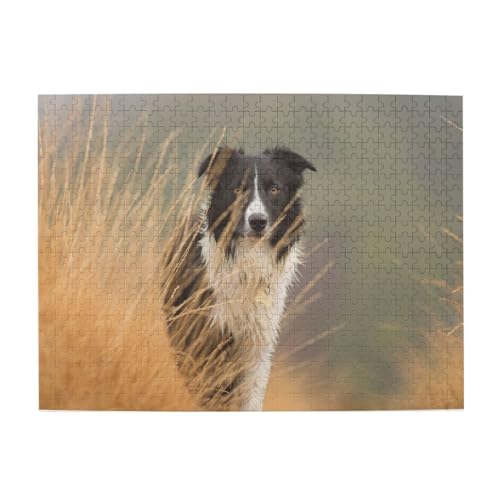 500 Teile, Puzzles für Erwachsene, anspruchsvolle Puzzles, Puzzlespiel für das Ganze,Border Collie Rasen Haustiere Schwarz Weiß Grenze 500 Teile, Puzzles für Erwachsene, anspruchsvolle Puzzles, Puzzlespiel für das Ganze,Border Collie Rasen Haustiere Schwarz Weiß Grenze von LfearTesa