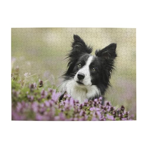 500 Teile, Puzzles für Erwachsene, anspruchsvolle Puzzles, Puzzlespiel für das Ganze,Border Collie Rasen Schwarz Border Collie Haustiere 500 Teile, Puzzles für Erwachsene, anspruchsvolle Puzzles, Puzzlespiel für das Ganze,Border Collie Rasen Schwarz Border Collie Haustiere von LfearTesa