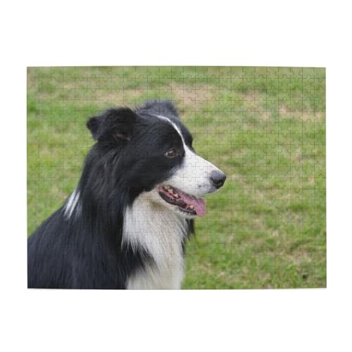 500 Teile, Puzzles für Erwachsene, anspruchsvolle Puzzles, Puzzlespiel für das Ganze,Border Collie 500 Teile, Puzzles für Erwachsene, anspruchsvolle Puzzles, Puzzlespiel für das Ganze,Border Collie von LfearTesa
