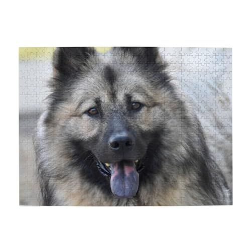 500 Teile, Puzzles für Erwachsene, anspruchsvolle Puzzles, Puzzlespiel für das Ganze,Chien Eurasier Dog 500 Teile, Puzzles für Erwachsene, anspruchsvolle Puzzles, Puzzlespiel für das Ganze,Chien Eurasier Dog von LfearTesa