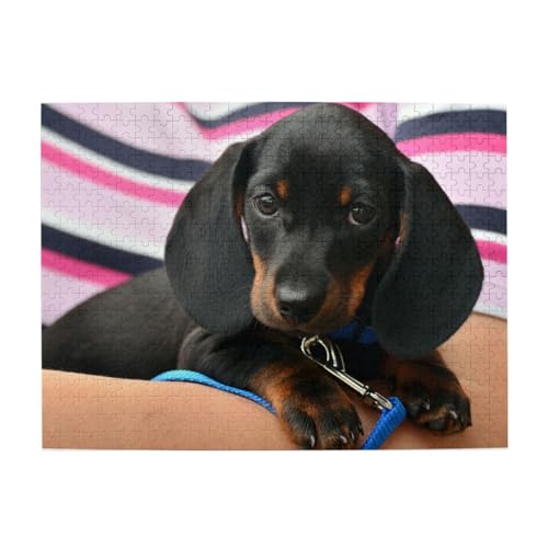 500 Teile, Puzzles für Erwachsene, anspruchsvolle Puzzles, Puzzlespiel für das Ganze,Dackel Welpe Haustier Hund 500 Teile, Puzzles für Erwachsene, anspruchsvolle Puzzles, Puzzlespiel für das Ganze,Dackel Welpe Haustier Hund von LfearTesa