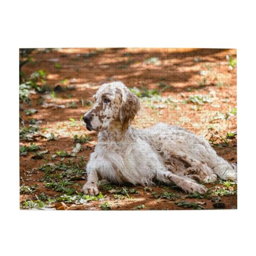 500 Teile, Puzzles für Erwachsene, anspruchsvolle Puzzles, Puzzlespiel für das Ganze,English Setter Herbst Haustiere Hunde Englisch 500 Teile, Puzzles für Erwachsene, anspruchsvolle Puzzles, Puzzlespiel für das Ganze,English Setter Herbst Haustiere Hunde Englisch von LfearTesa