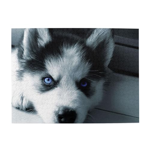 500 Teile, Puzzles für Erwachsene, anspruchsvolle Puzzles, Puzzlespiel für das Ganze,Husky-Welpe 500 Teile, Puzzles für Erwachsene, anspruchsvolle Puzzles, Puzzlespiel für das Ganze,Husky-Welpe von LfearTesa