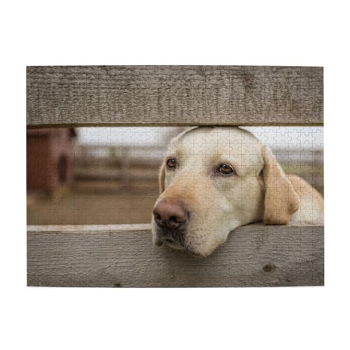 500 Teile, Puzzles für Erwachsene, anspruchsvolle Puzzles, Puzzlespiel für das Ganze,Labrador Retriever Fotos 500 Teile, Puzzles für Erwachsene, anspruchsvolle Puzzles, Puzzlespiel für das Ganze,Labrador Retriever Fotos von LfearTesa