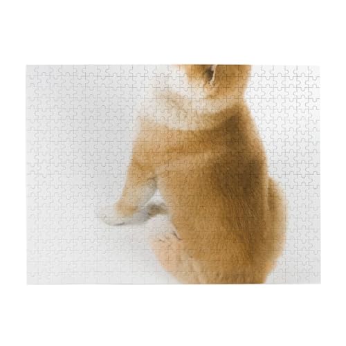 500 Teile, Puzzles für Erwachsene, anspruchsvolle Puzzles, Puzzlespiel für das Ganze,Shiba Inu süßes Hundemuster 500 Teile, Puzzles für Erwachsene, anspruchsvolle Puzzles, Puzzlespiel für das Ganze,Shiba Inu süßes Hundemuster von LfearTesa